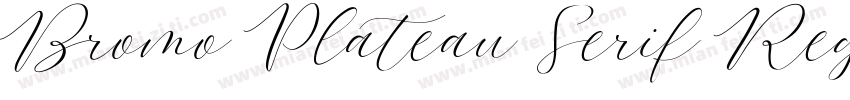 Bromo Plateau Serif Regular字体转换
